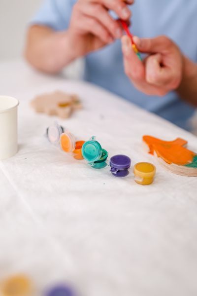 Gift set of wooden toys for coloring "Dino World"
