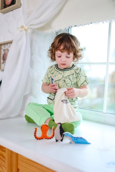 Gift set of wooden coloring toys "Sea Friends"
